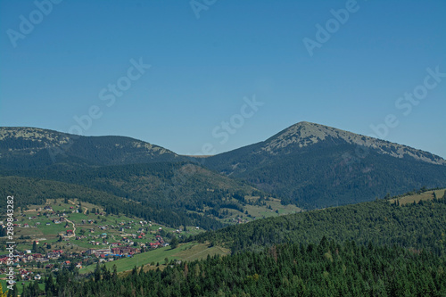 Forest on a mountainside in a nature reserve. Landscape with mountains, sunny day.