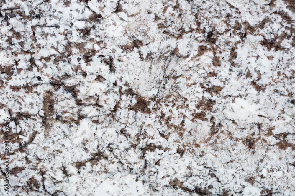 Natural white granite background for your individual design work. High quality texture in extremely high resolution. 50 megapixels photo. Natural white granite background for your individual design work. High quality texture in extremely high resolution. 50 megapixels photo.