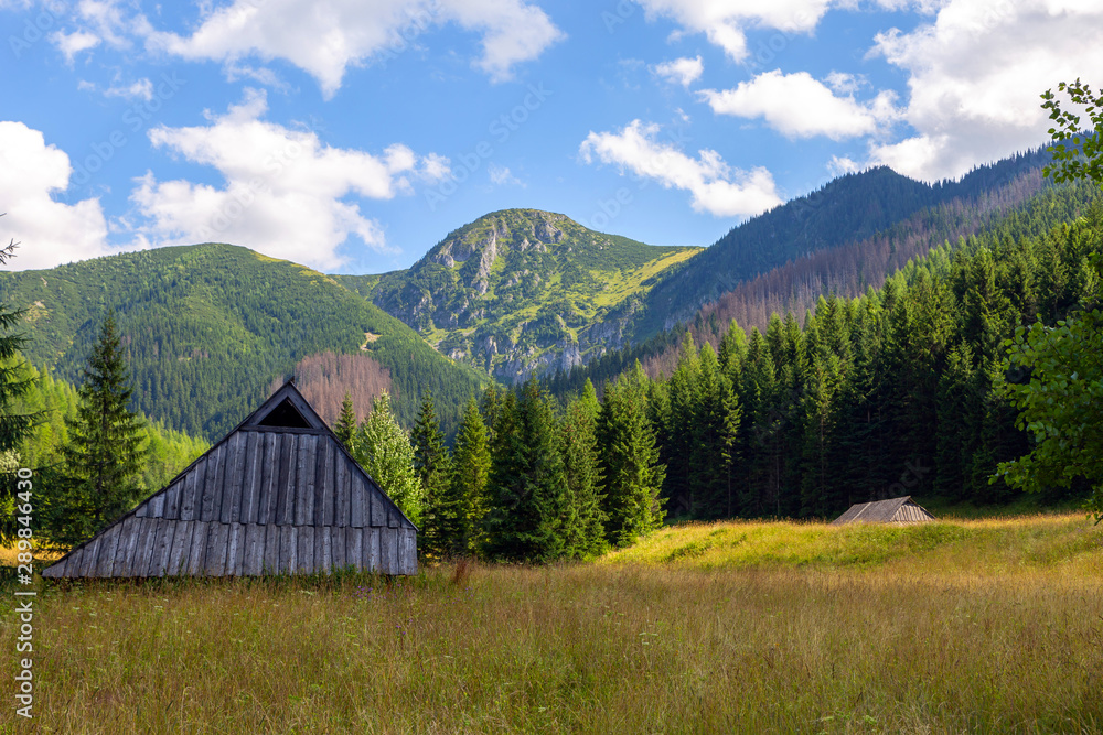 Jaworzynka Valley in Tatra mountains. Poland.