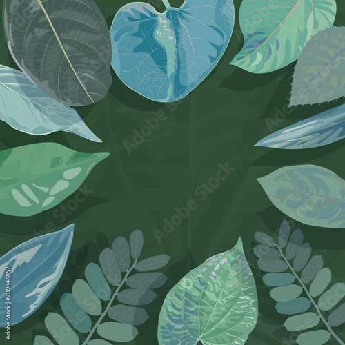 Background of Tropical Leaves. Suitable for nature concept.