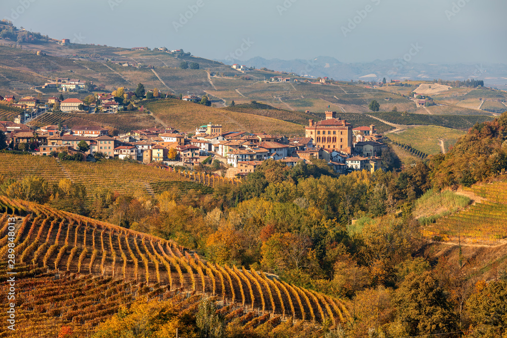Colorful vineyards and town of Barolo in Italy.