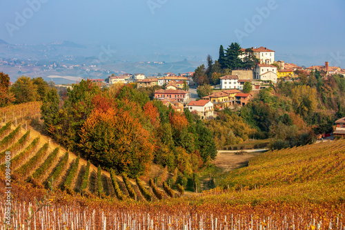 Colorful autumnal vineyards on the hills of Langhe, Italy.