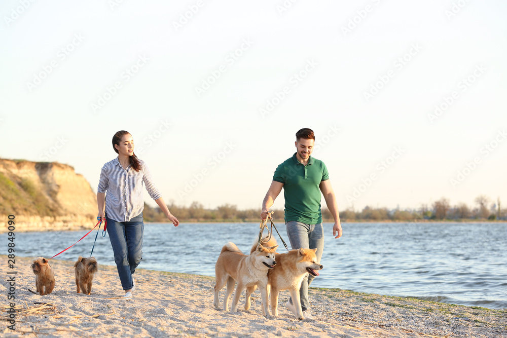 Young couple walking their adorable dogs near river - obrazy, fototapety, plakaty 