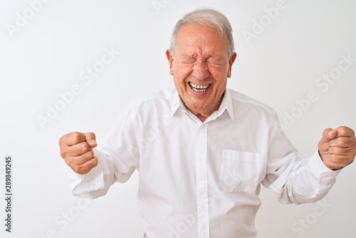 Senior grey-haired man wearing elegant shirt standing over isolated white background very happy and excited doing winner gesture with arms raised, smiling and screaming for success. 