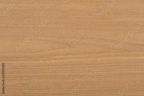 Beautiful oak veneer background in natural beige color. High quality texture in extremely high resolution. 50 megapixels photo.