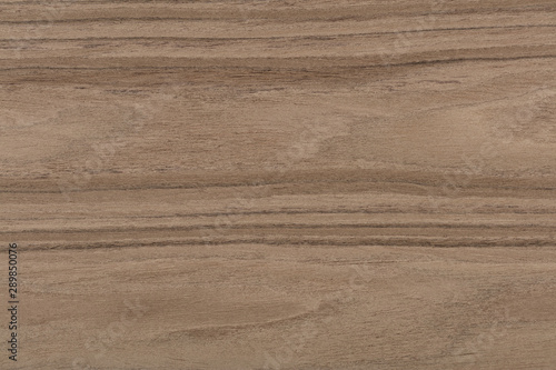 Beautiful natural nut veneer background in awesome grey color. High quality texture in extremely high resolution. 50 megapixels photo.