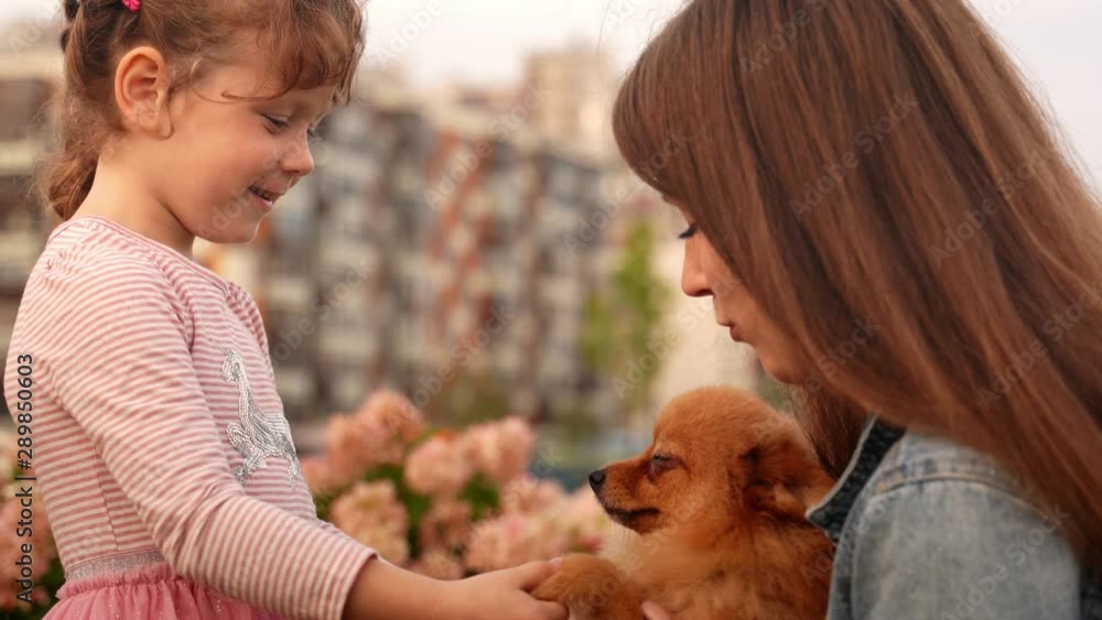 Sweet shild and her mom hold ginger puppy in hands Sweet shild and her mom hold ginger puppy in hands