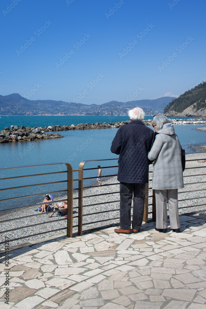 retired couple arm in arm that admire the sea