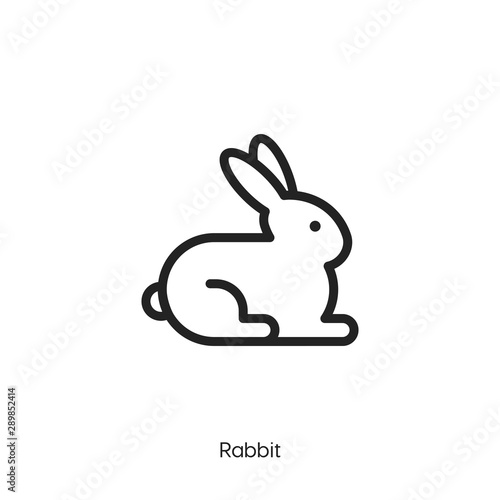 Rabbit icon vector symbol. Rabbit symbol icon vector.