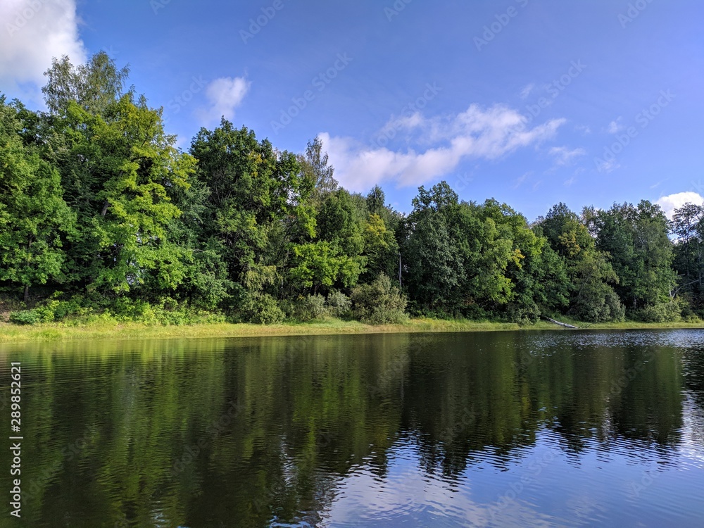 Fototapeta premium lake in forest