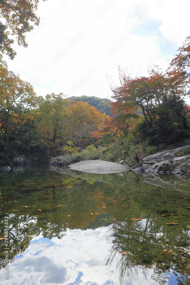 日本 秋の武蔵嵐山渓谷