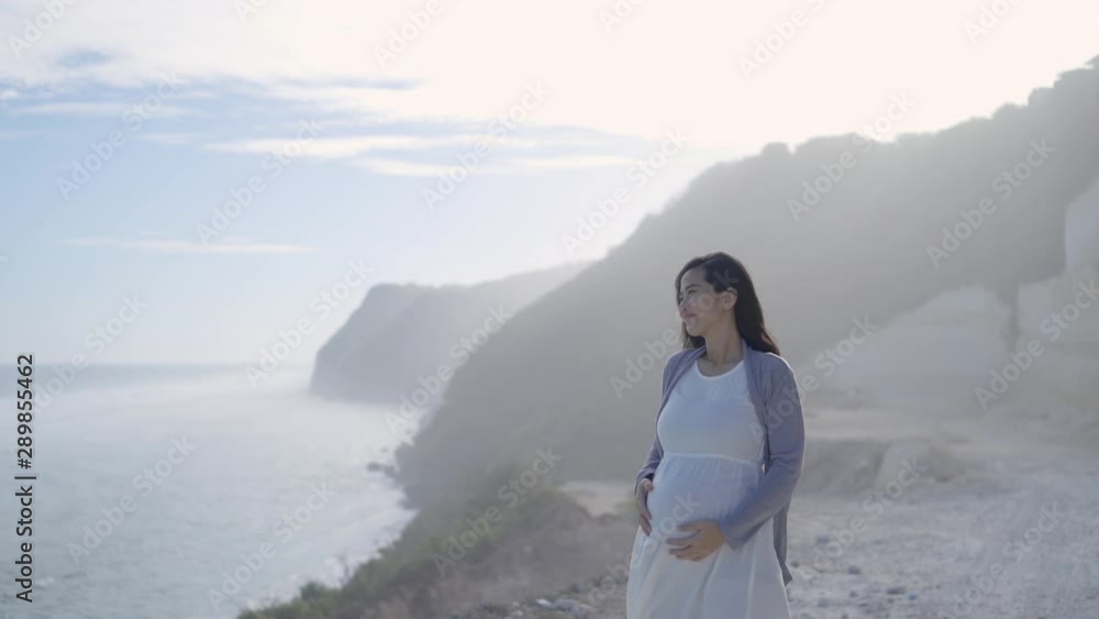 pregnant mother stands next to a cliff against a mountain and sea background pregnant mother stands next to a cliff against a mountain and sea background