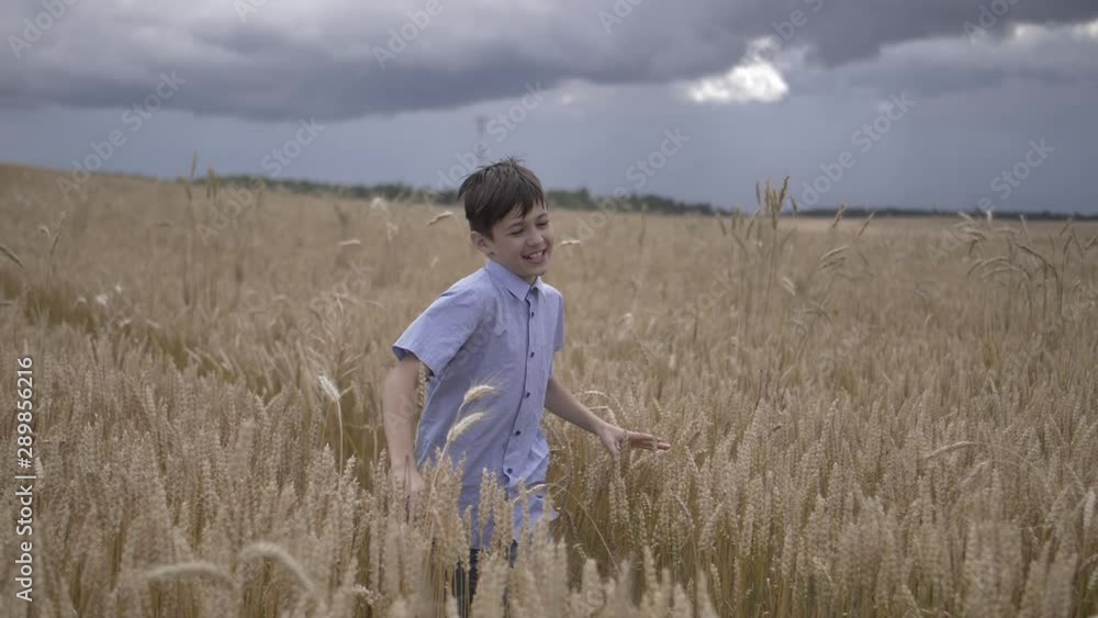 happy boy running through a wheat field, slow motion happy boy running through a wheat field, slow motion
