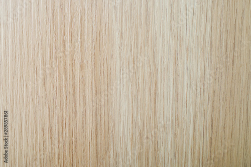 the white oak wood texture background 