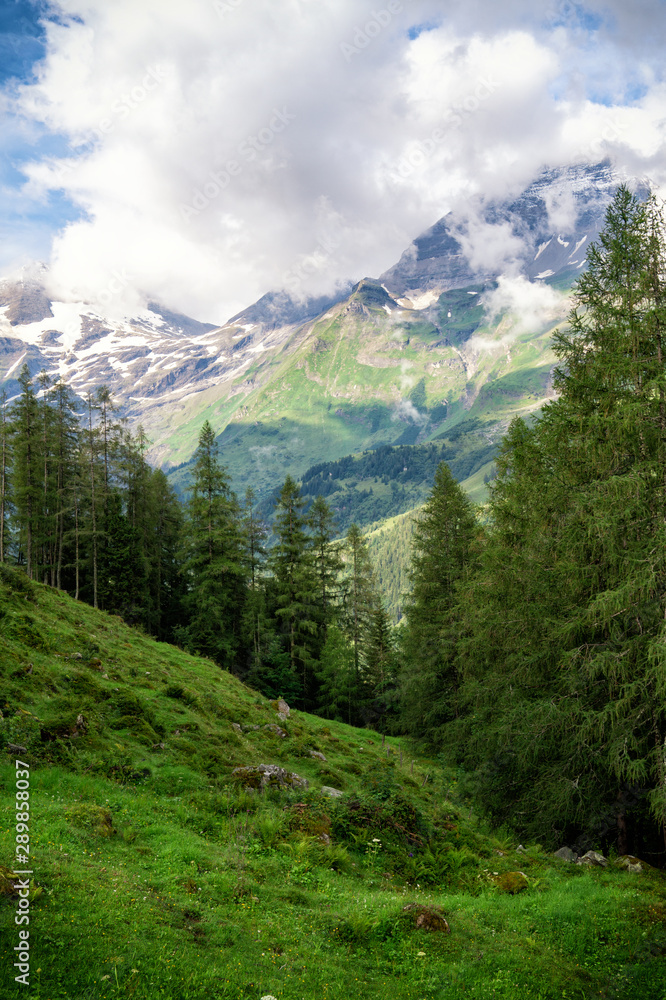 Scenic landscape with green meadows, fir trees and mountains in clouds, Austria