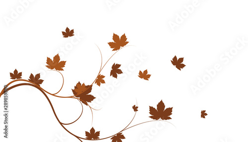 sfondo, ramo, foglie, autunno,