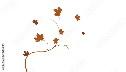 sfondo, ramo, foglie, autunno,