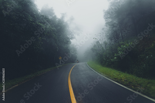 Misty roads in the forest and travel