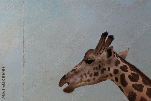 Canvas Print Nature at its best