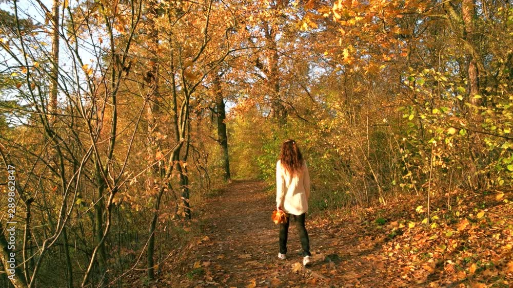 Woman walking alone on forest path. Back view woman with bunch of autumn leaves in autumn forest. Beautiful sunny day. Woman walking alone on forest path. Back view woman with bunch of autumn leaves in autumn forest. Beautiful sunny day.
