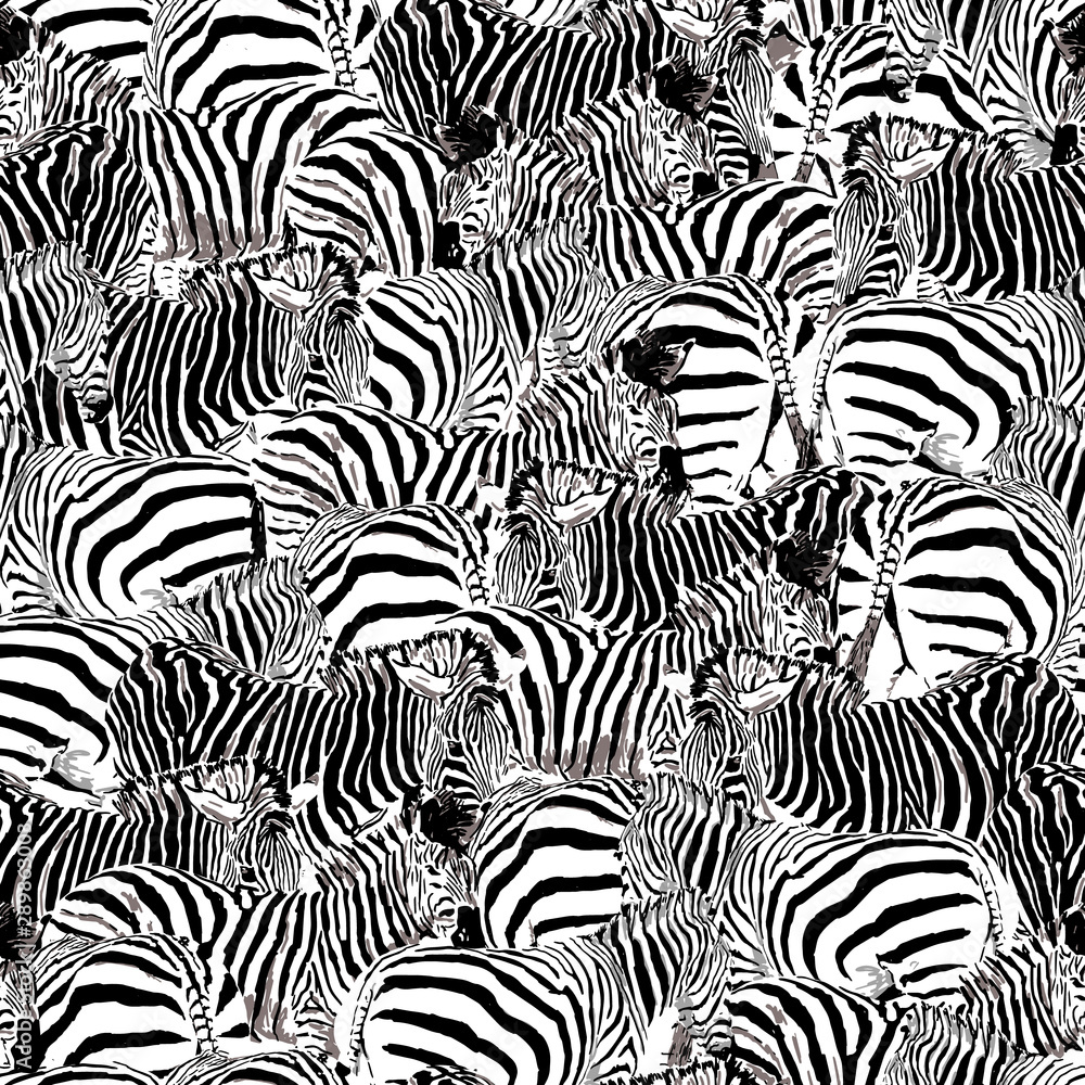 seamless pattern black and white zebra, wildlife animal vector illustration