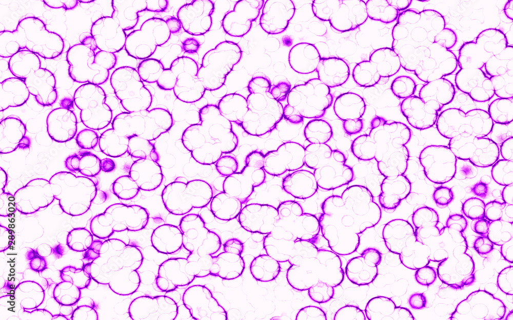 electric abstract glow bubble cells electric abstract glow bubble cells