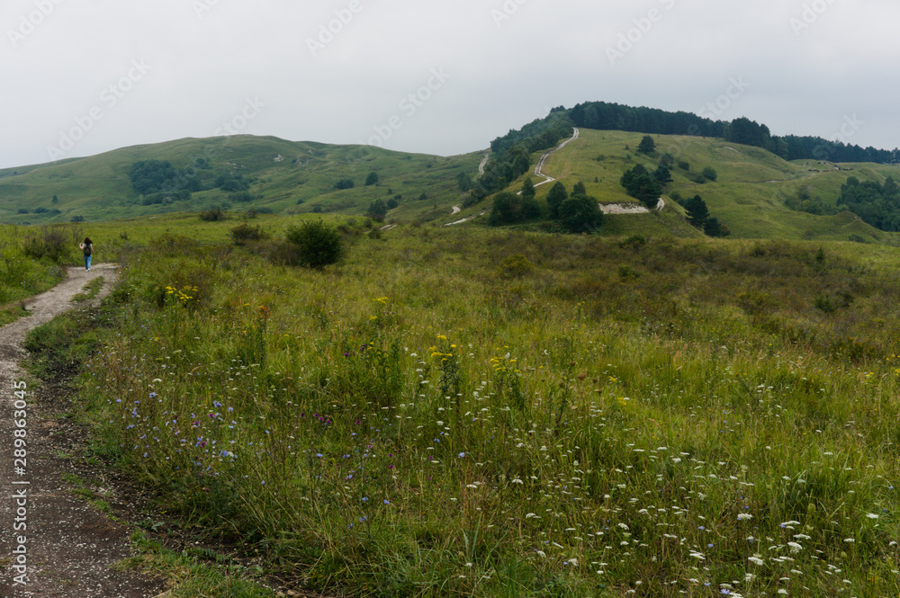 Obraz premium MouGreen lawn grass landscape in the caucasus mountains near kislowodsk, raw original picture