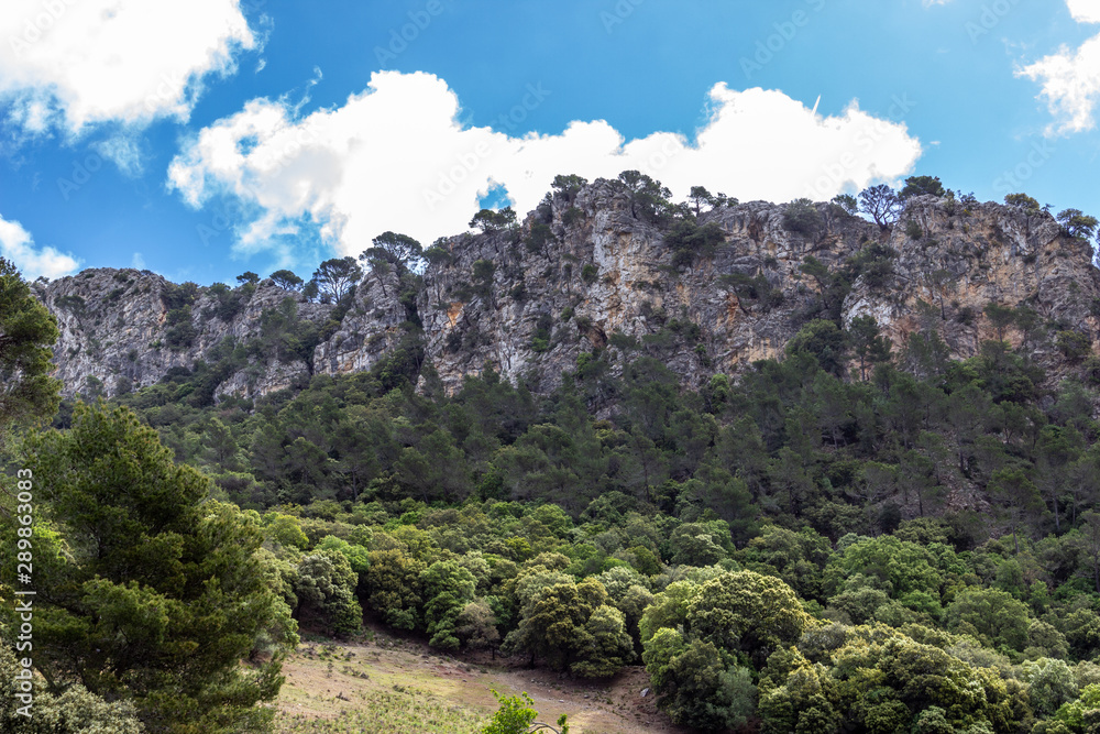 Aussicht auf die Landschaft am Coll de Soller in Norden von Mallorca an einem sonnigen Tag
