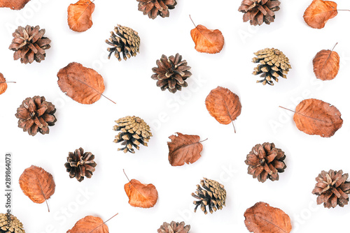 Autumn composition. Dry leaves and pine cones on a white background. Autumn background. View from above. Flat lay