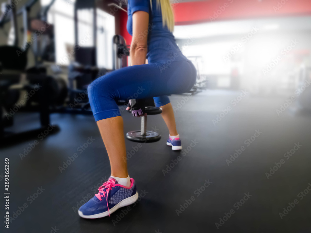 girl performs exercises in the gym girl performs exercises in the gym