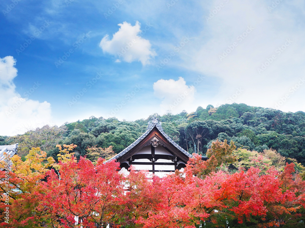 traditionlal Japanese roof with autumn nature background. traditionlal Japanese roof with autumn nature background.
