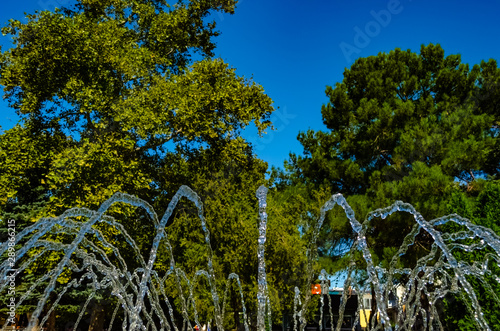 Fountain jets on a background of trees