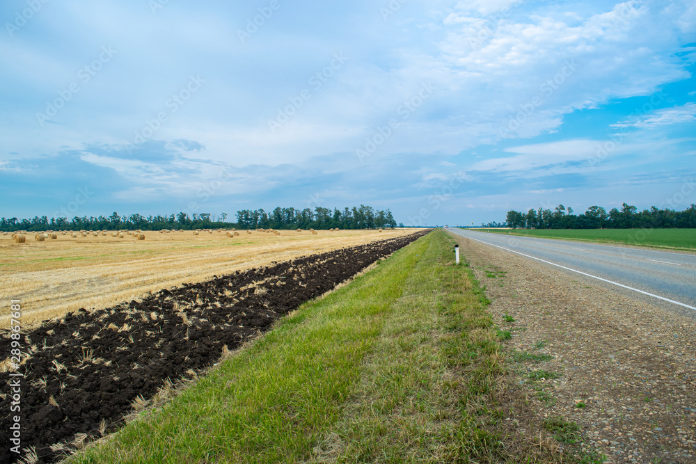 Round haystacks on a wheat field, harvesting at the end of summer, in the background trees and blue sky. Healthy food. Ground in the foreground, green grass and road. Round haystacks on a wheat field, harvesting at the end of summer, in the background trees and blue sky. Healthy food. Ground in the foreground, green grass and road.