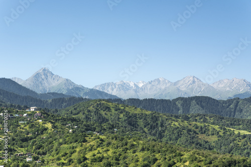 Summer in the mountains of Kazakhstan. Green fields and slopes  trees growing right on the mountains and the distant snowy peaks of the mountains. On the slopes visible houses of local residents.
