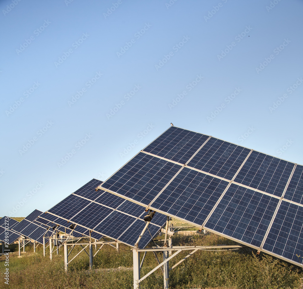 photovoltaics in solar power station energy from natural. photovoltaics in solar power station energy from natural.