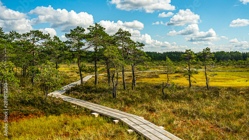 Riisa bog trail