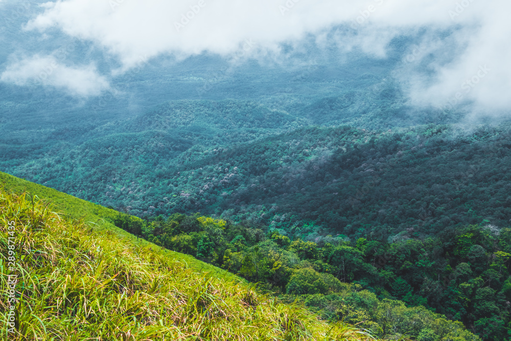 Fototapeta premium Viewpoint and green fields in the rainy season cover by fog at Doi Luang Tak, Tak Province,Thailand.