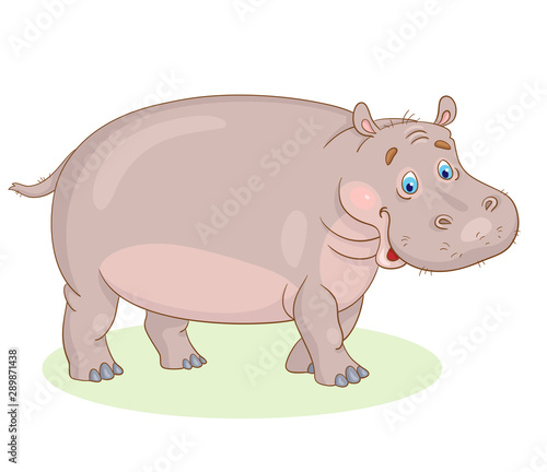 Big funny hippopotamus. In cartoon style. Isolated on white background.