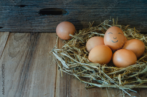 Eggs smiling in a nest on a wooden table, the backdrop is old wood, Copy space on the left.ing in a nest on a wooden table, the backdrop is old wood.