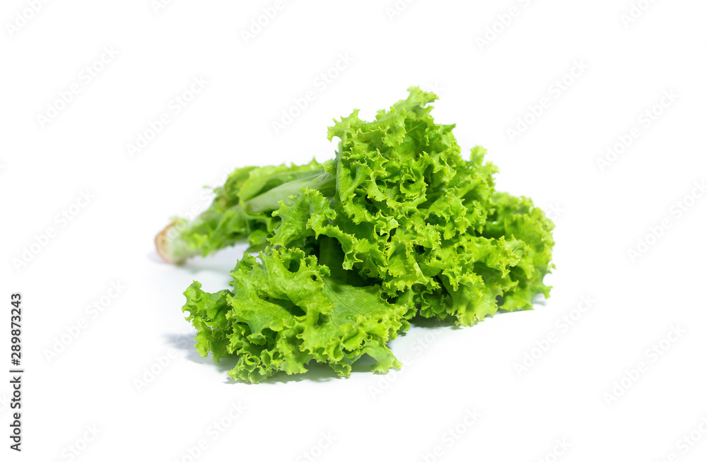 Closeup of fresh lettuce salad. green vegetables. isolated on white background Closeup of fresh lettuce salad. green vegetables. isolated on white background