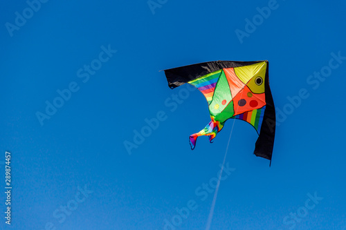 Brightly colored kite in the wind on a blue sky without clouds.Feel freedom.
