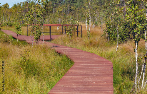 Ecological trail - wooden walkways laid in the swamp, reserve "Sestroretsk swamp"