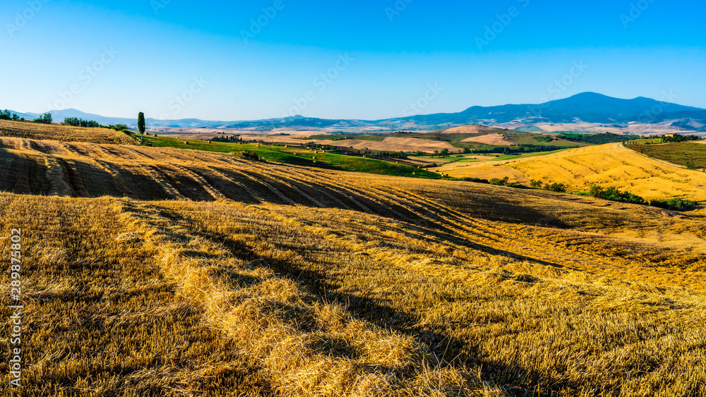 Landscape with fields in Tuscany, Italy, Summer