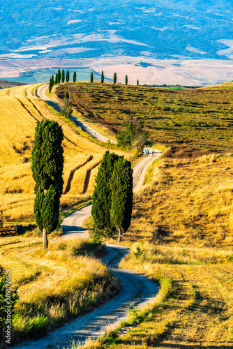 Landscape with Gladiator road and Cypress trees in Tuscany, Italy, Summer