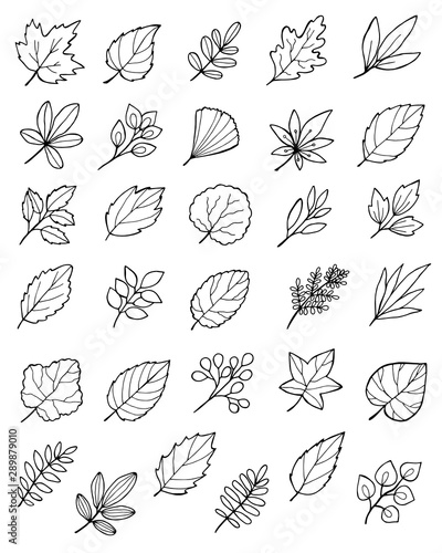 large set of hand drawn doodle autumn leaves