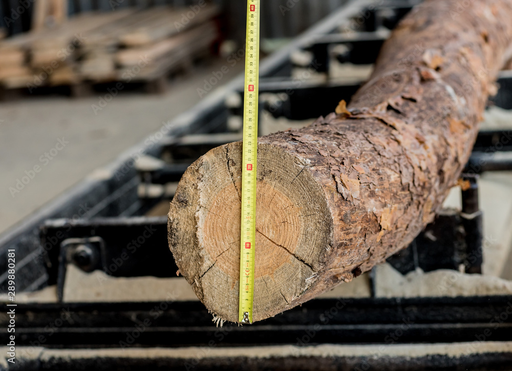 Modern sawmill. Industry sawing boards from logs Modern sawmill. Industry sawing boards from logs