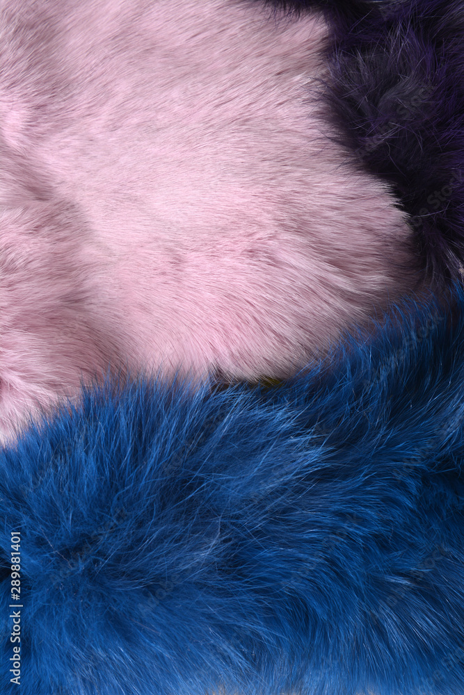 Pink and blue rabbit fur background texture on the wooden table Pink and blue rabbit fur background texture on the wooden table