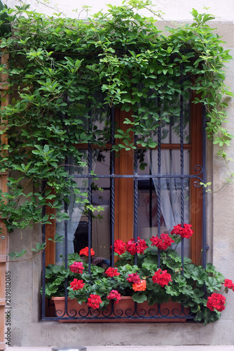 Fototapeta Naklejka Na Ścianę i Meble -  Window with flower-box in Rothenburg ob der Tauber, Middle Franconia, Bavaria, Germany