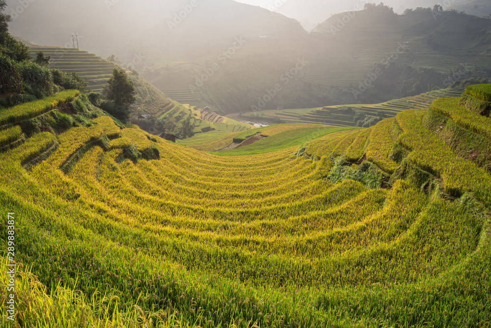 Beautiful landscape rice fields on terraced of Mu Cang Chai