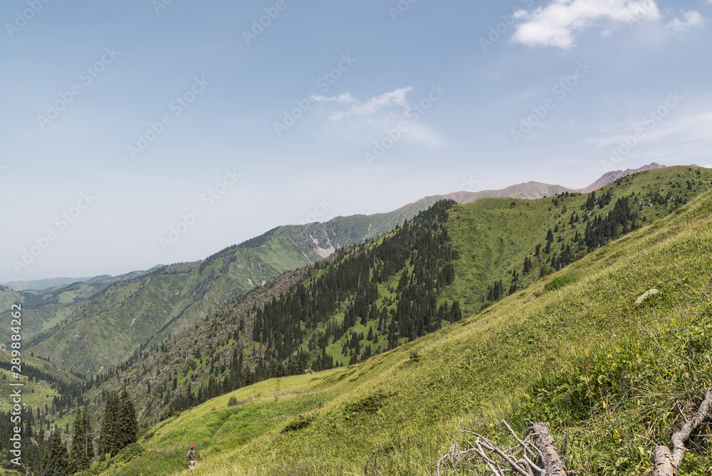 Steep and stony mountains in Kazakhstan, covered with green grass, sand and small stones. In the mountains grow spruce.